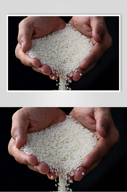 香醇大米高清图片
