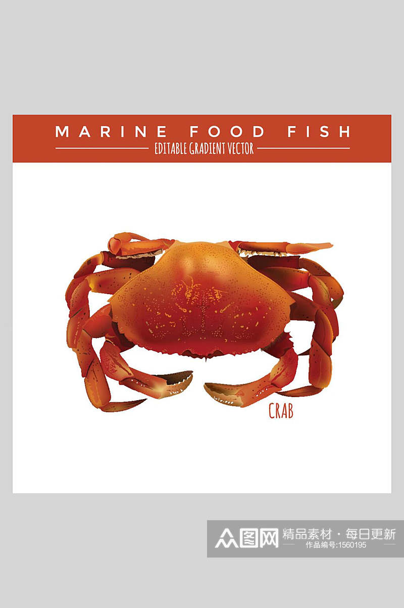 美食白底海洋生物螃蟹插画素材素材