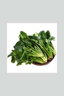 菠菜绿色健康菜摄影图
