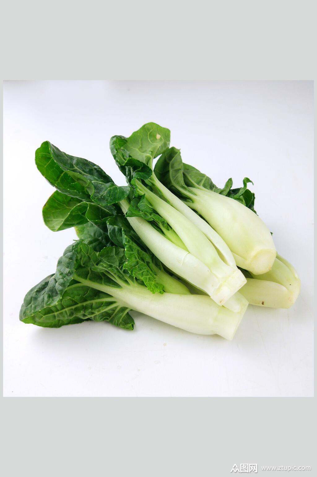 众图网独家提供奶油白菜素材免费下载,本作品是由小不点上传的原创免