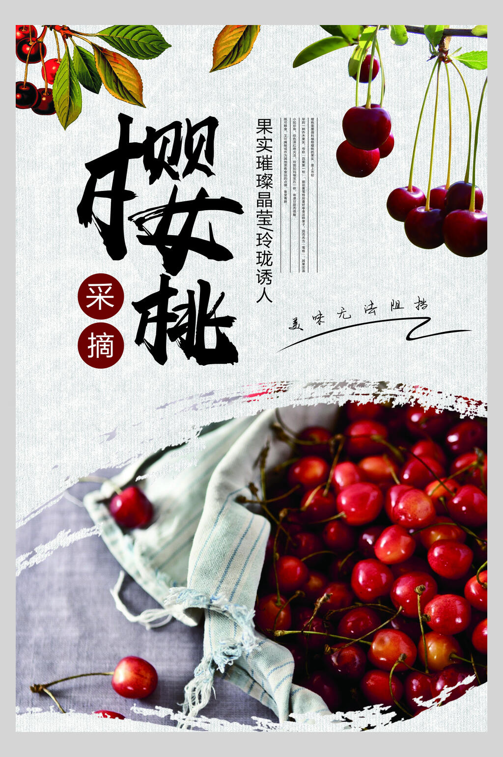 简约现摘樱桃水果海报素材