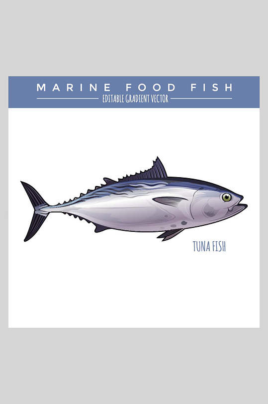 美食白底海洋生物鱼类插画素材