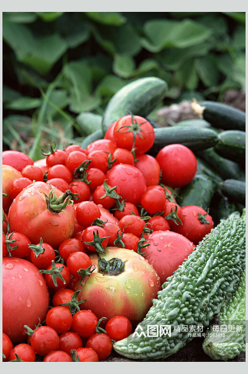 新鲜果蔬西红柿特写高清图片素材
