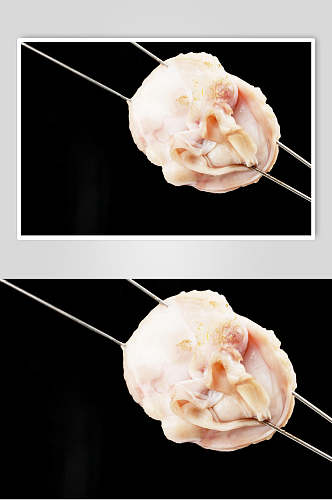 新鲜贝类烤扇贝美食摄影图