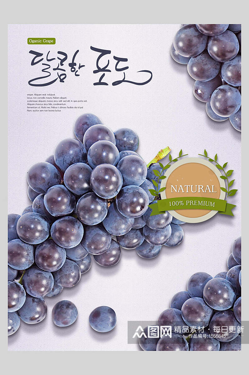 韩国新鲜葡萄水果海报素材