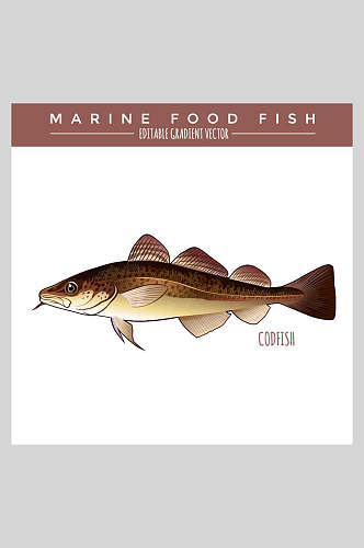 美食海洋生物鱼类插画素材