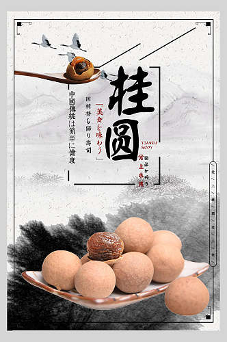 中国风水墨桂圆水果海报