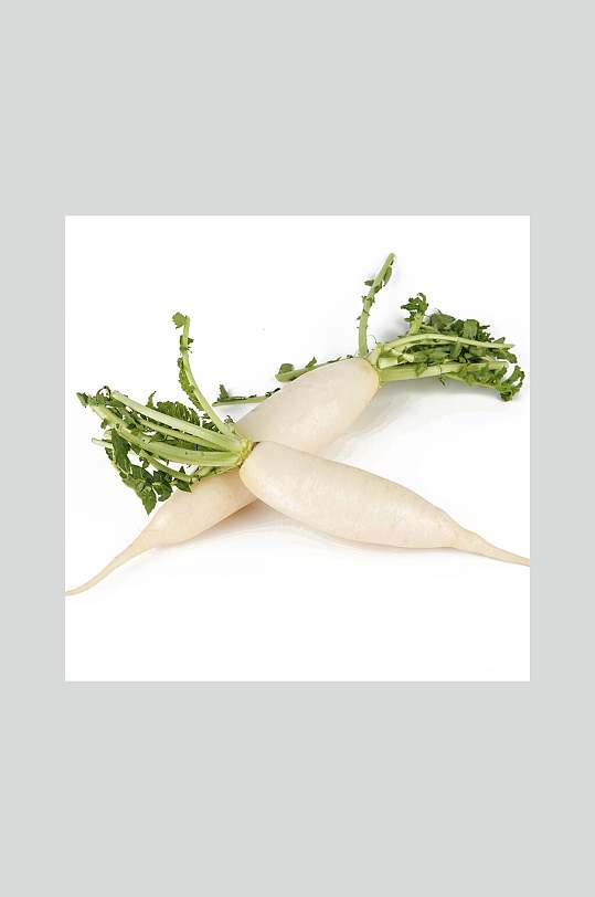 新鲜蔬菜白萝卜美食摄影图