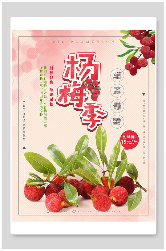 杨梅季宣传海报设计