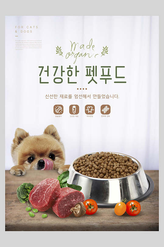 韩式宠物健康粮食创意海报