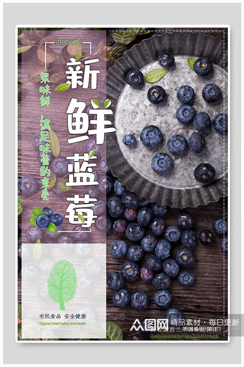 新鲜蓝莓水果海报设计素材