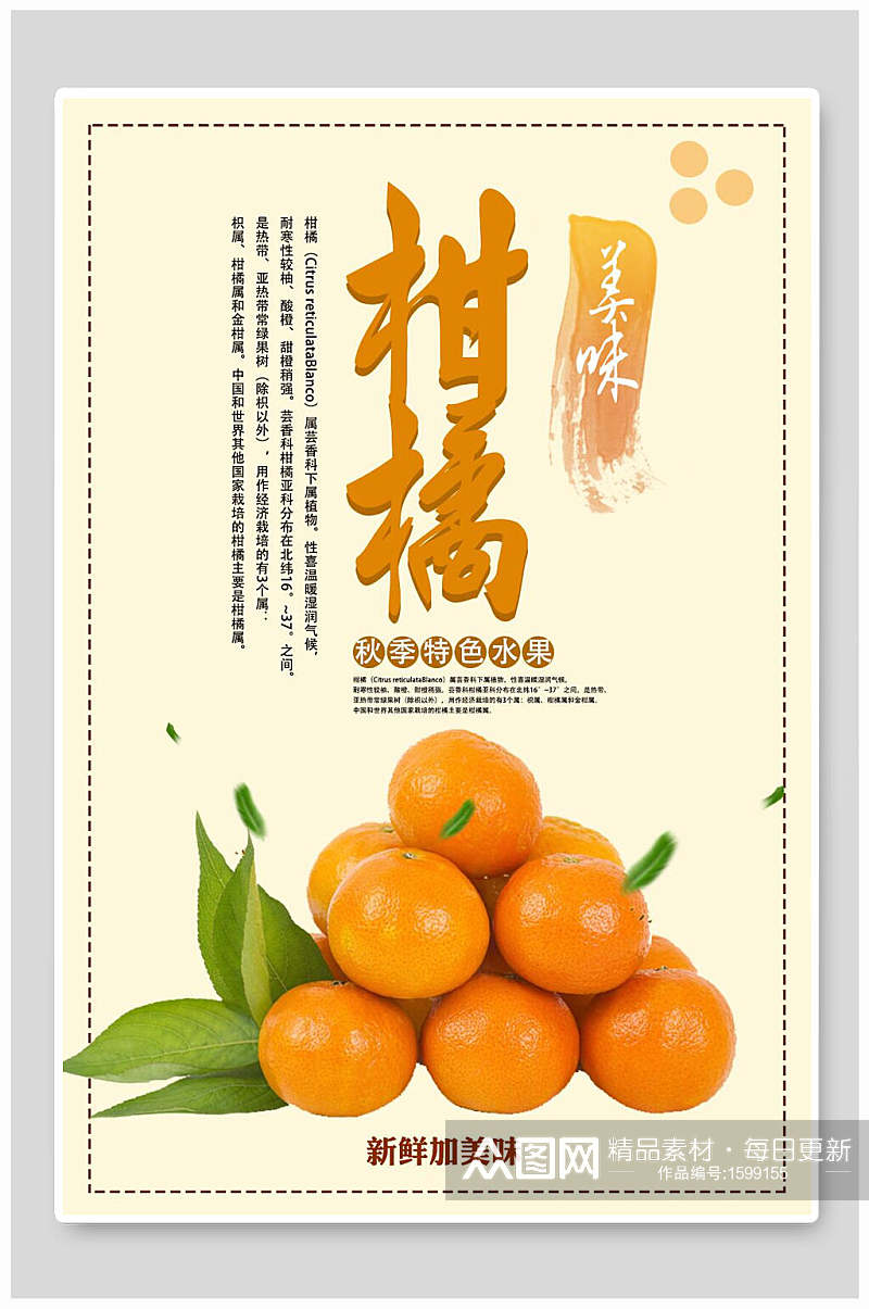 柑橘水果海报设计素材