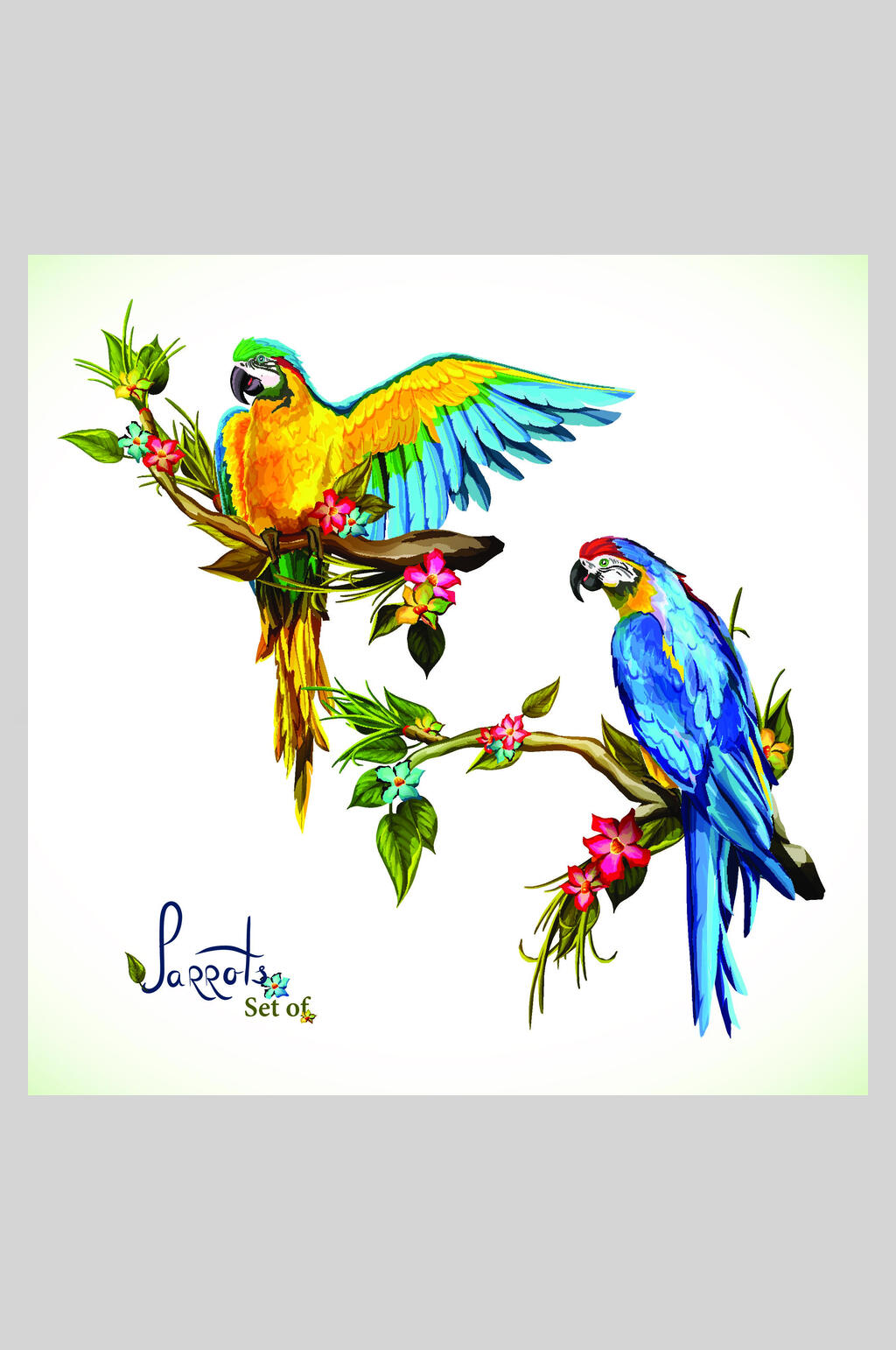 炫彩复古手绘花鸟插画素材素材