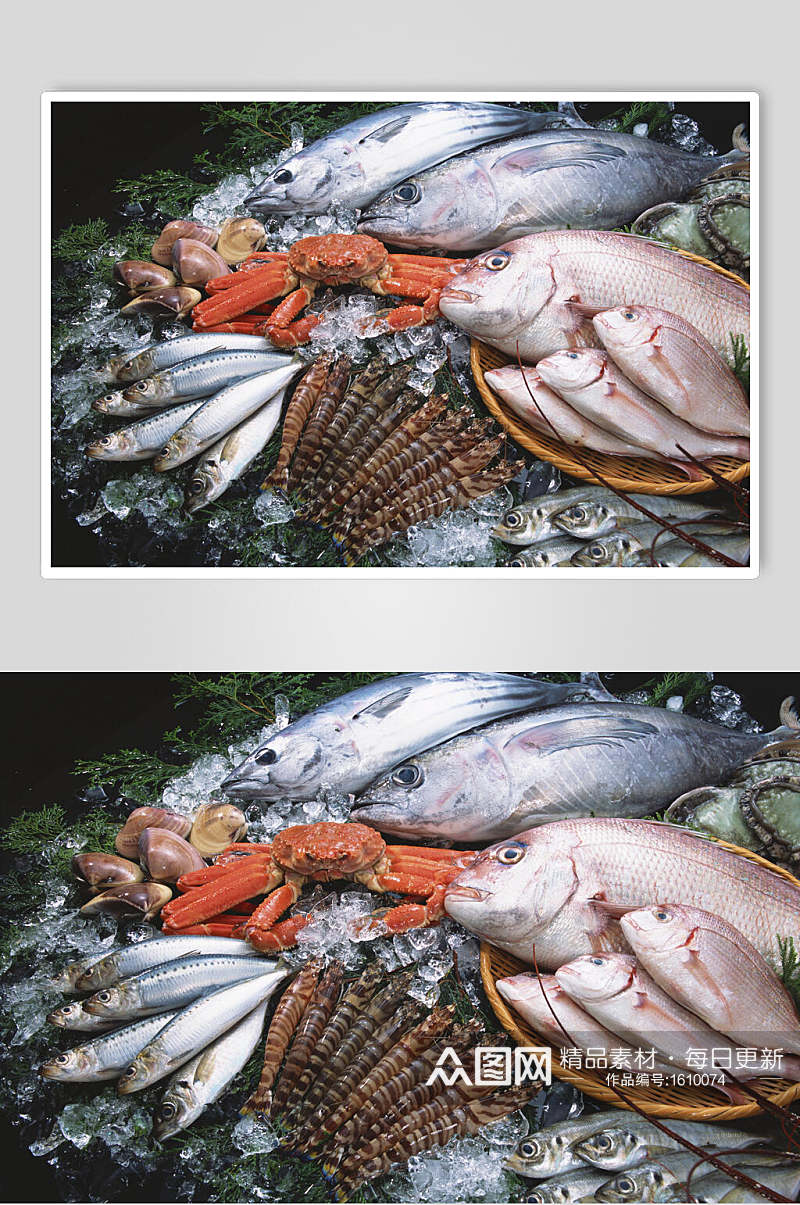 海鱼高清图片素材