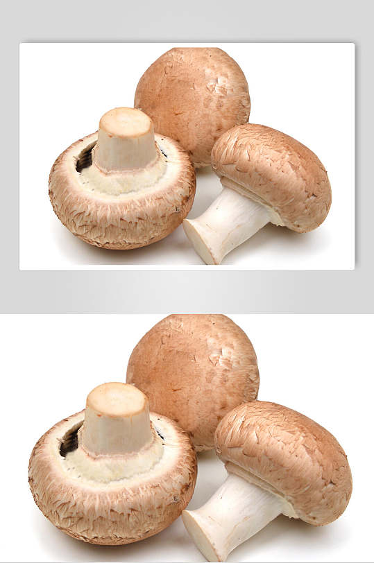 蘑菇香菇食品美食图片