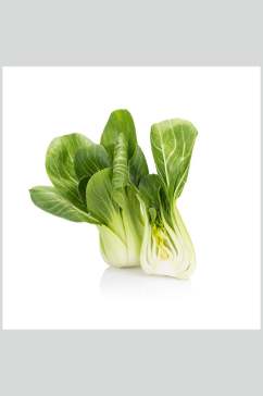 绿色蔬菜上海青高清图片