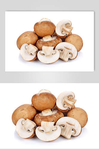 蘑菇食品图片