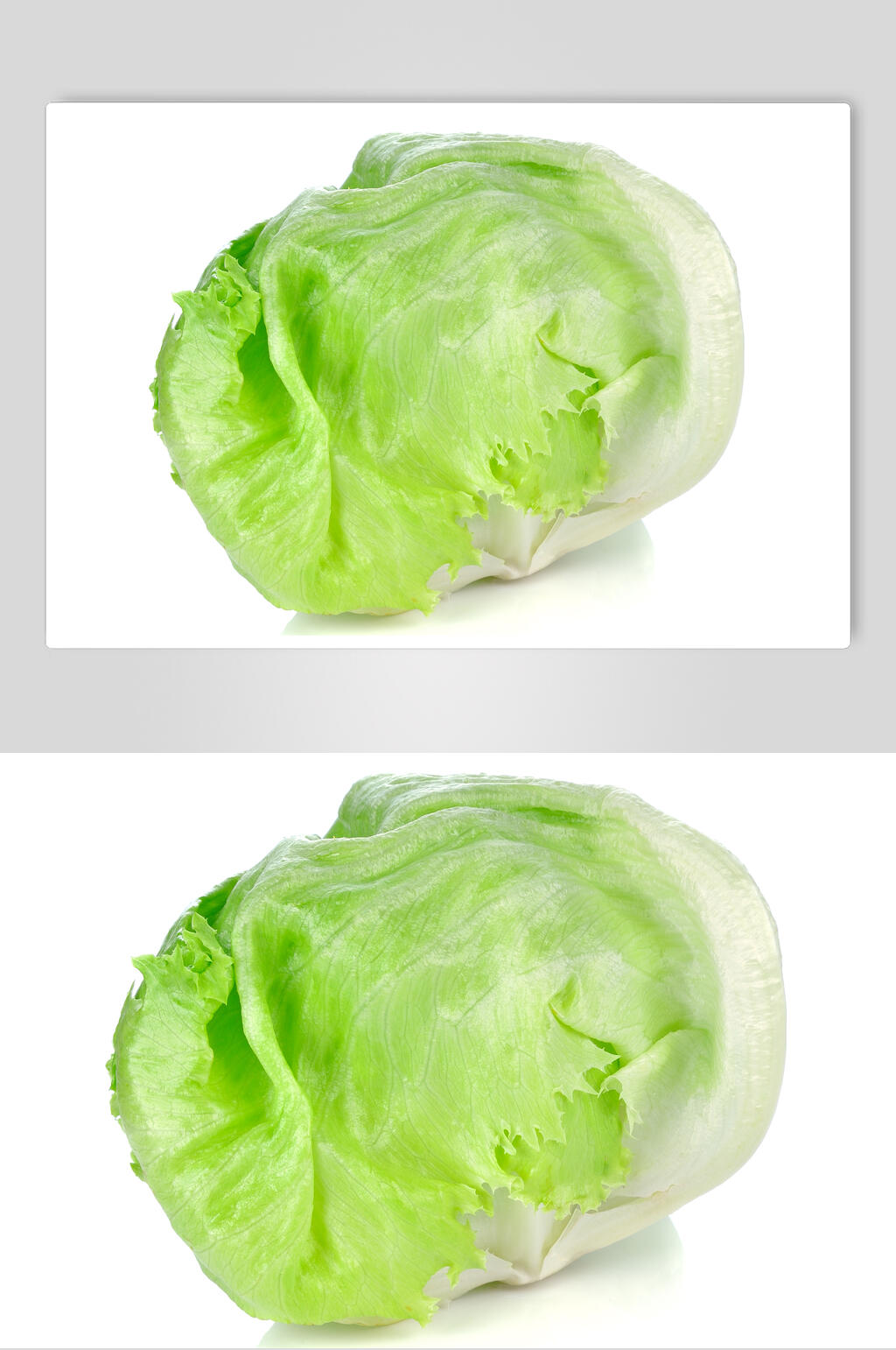 新鲜生菜摄影图片素材