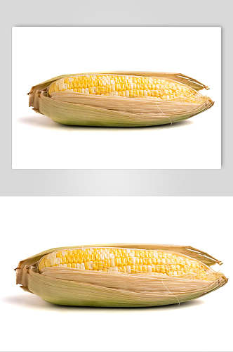 玉米营养食品摄影图