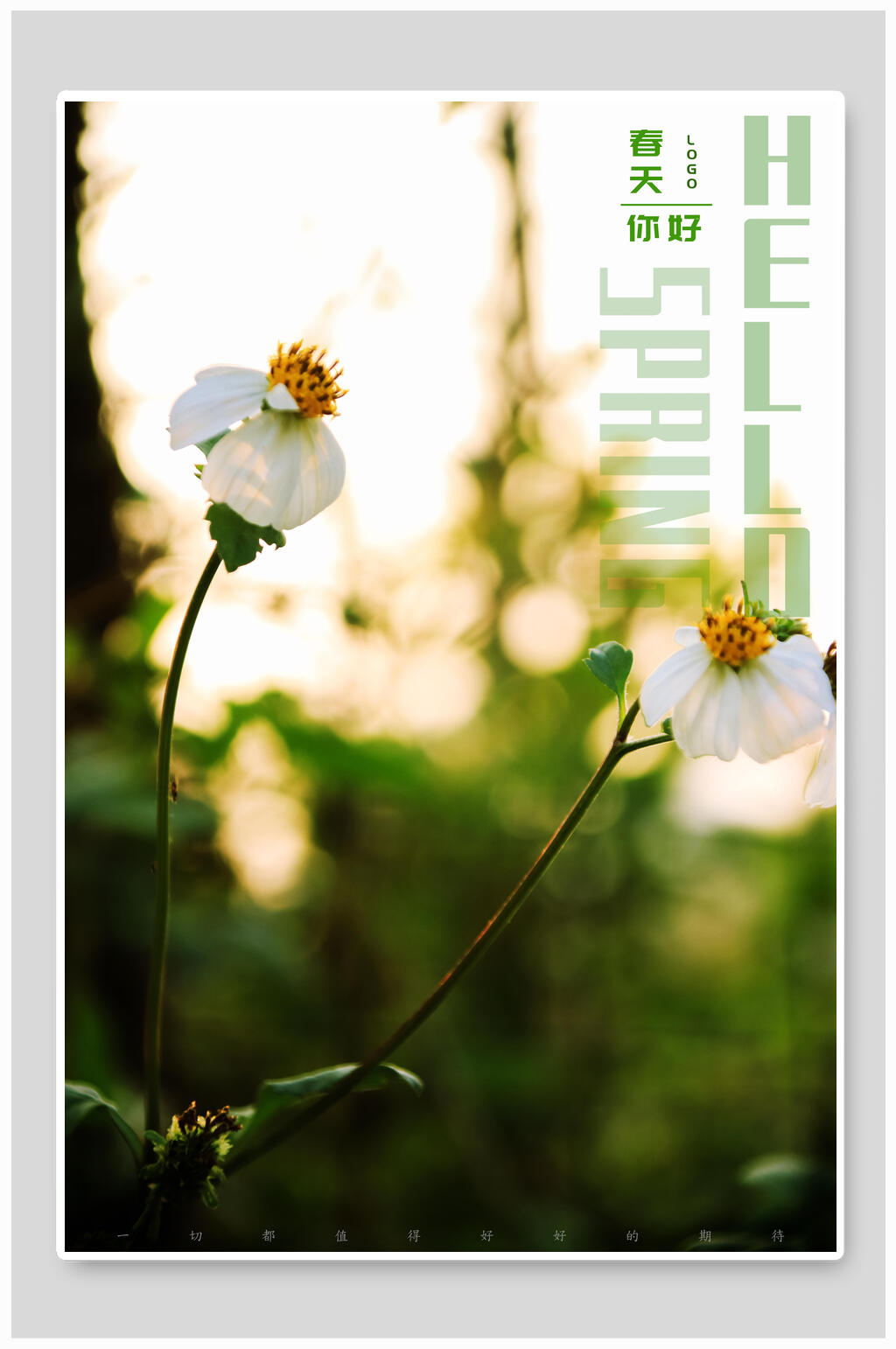清新鲜花春天三月你好海报素材