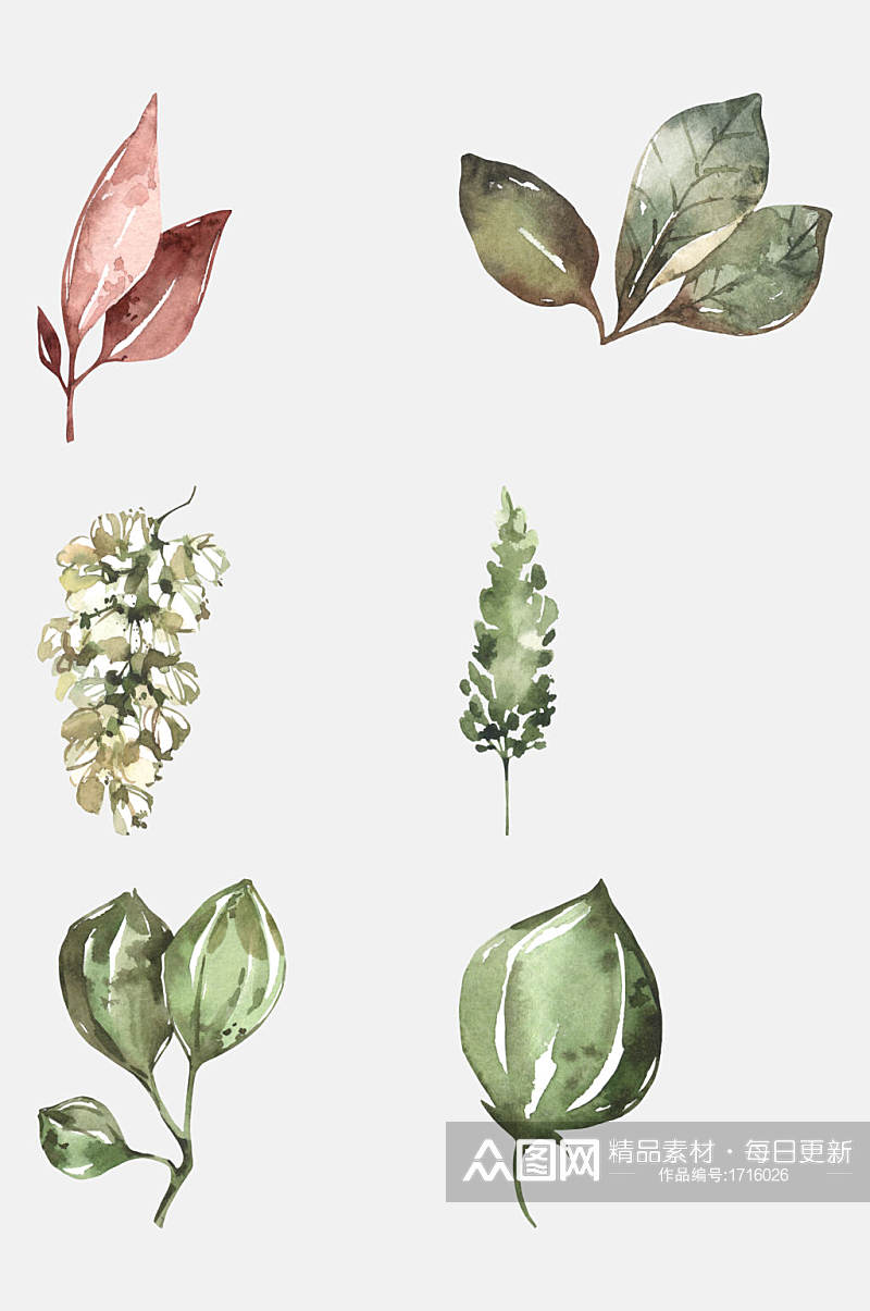 清新手绘植物花卉叶子免抠元素素材
