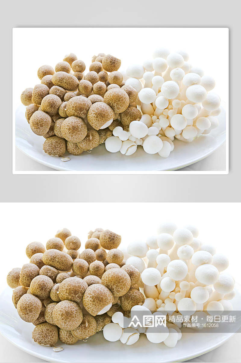 海鲜菇营养健康摄影图素材