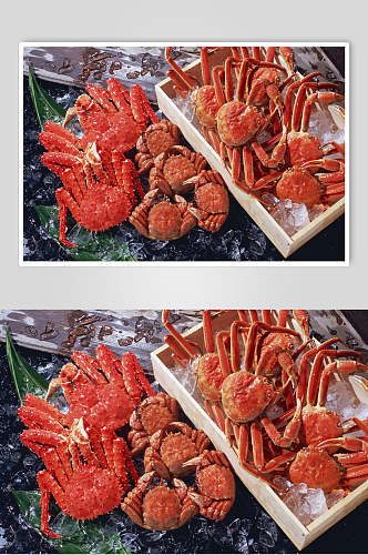 帝王蟹高端食材摄影图