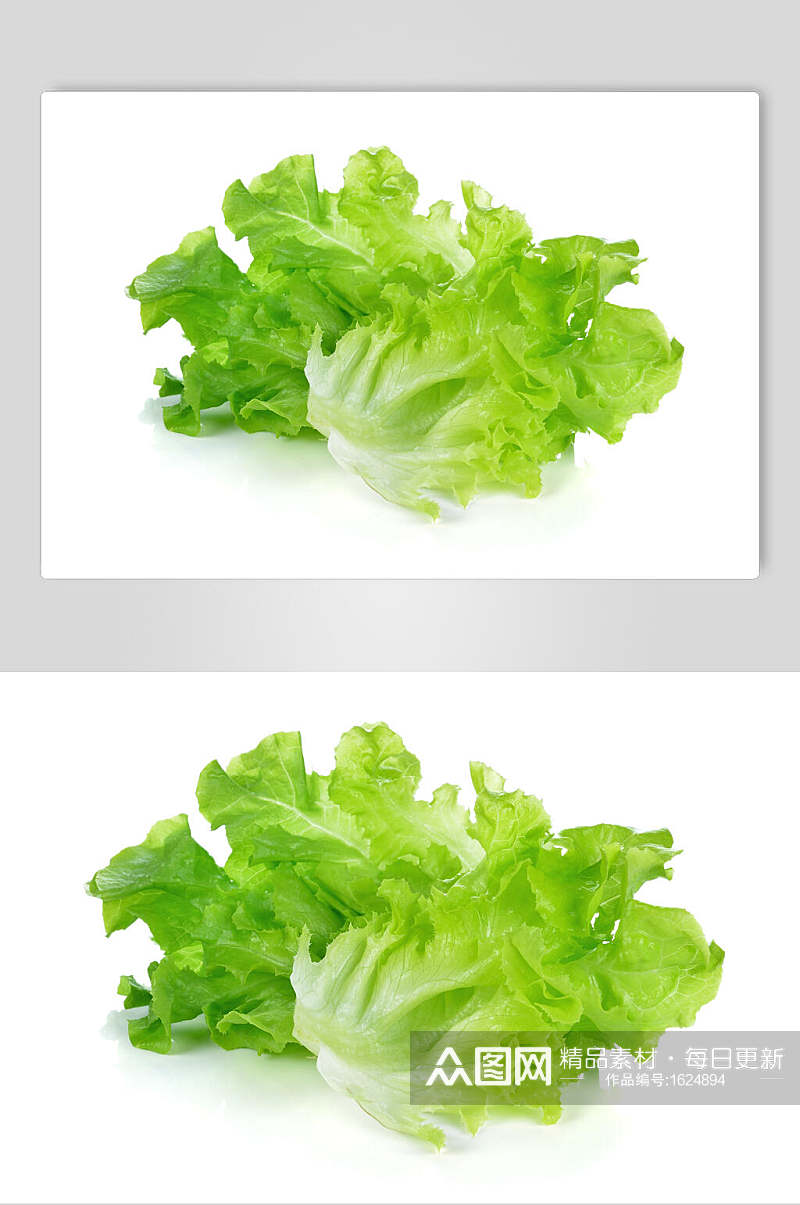 生菜蔬菜高清图片素材