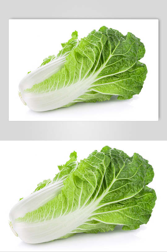 大白菜绿色健康摄影图