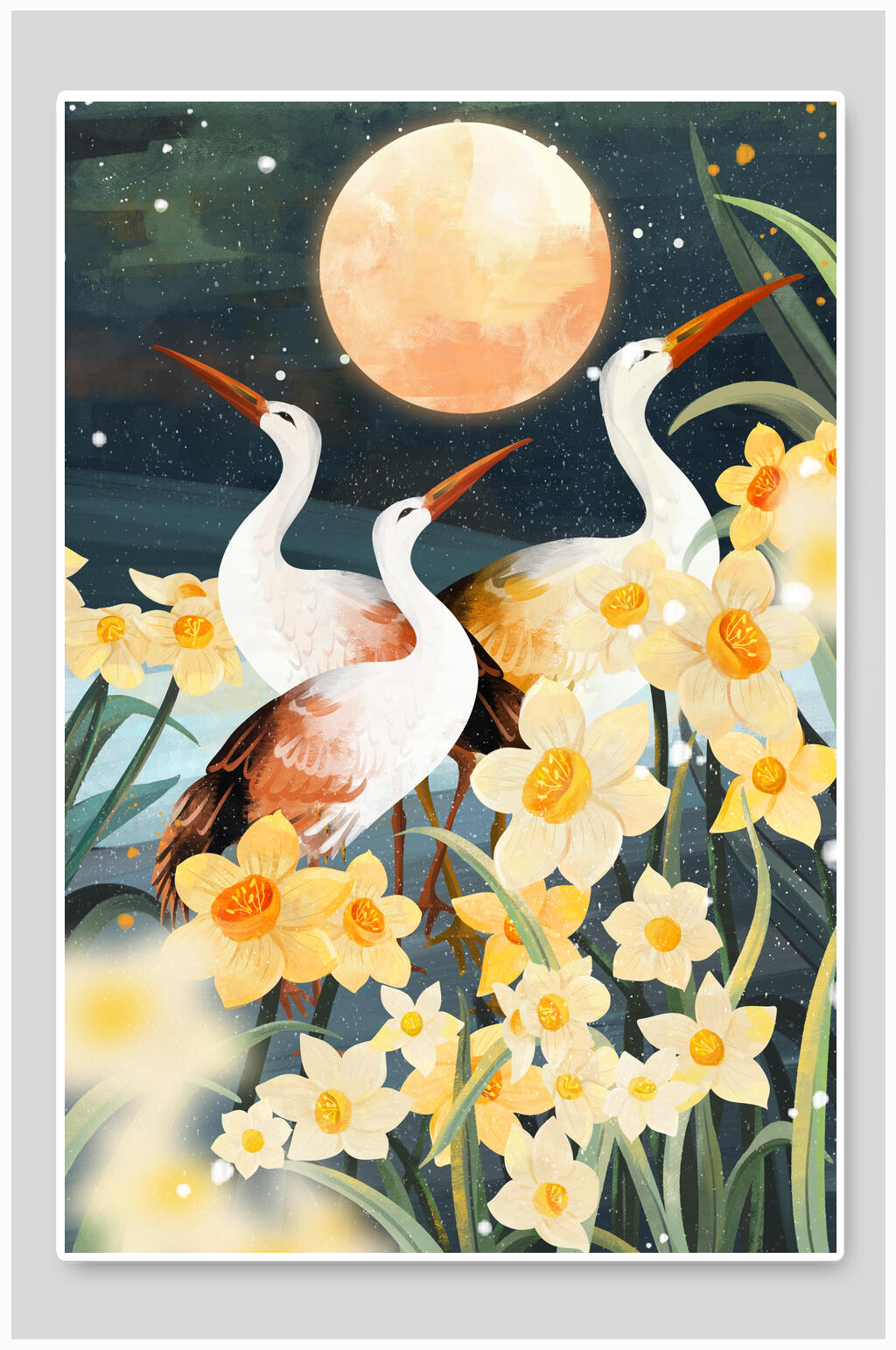 仙鹤兰花花鸟插画素材素材