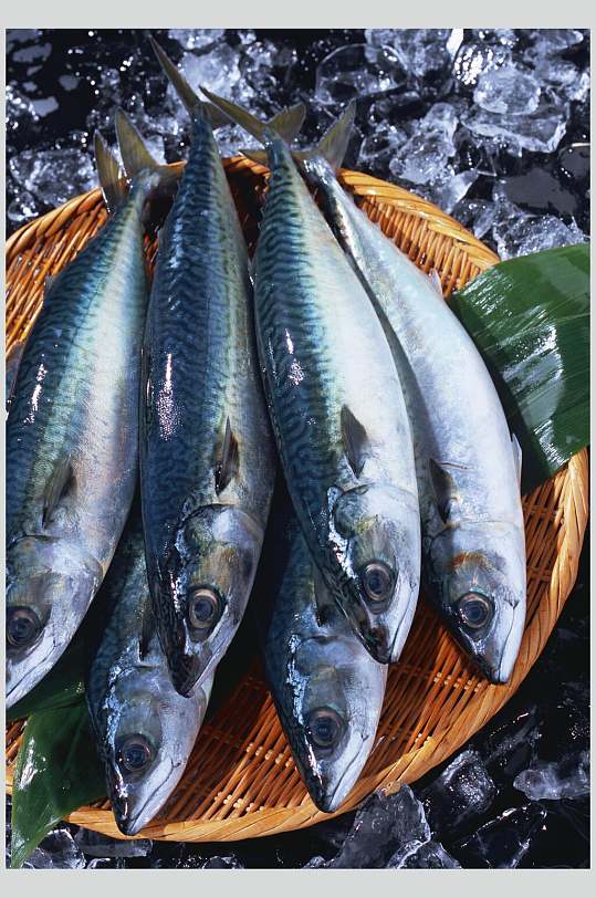 海鱼海鲜生鲜摄影图