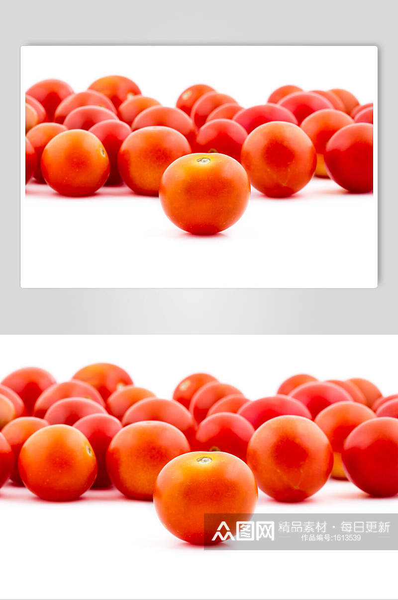 高清西红柿摄影图片素材