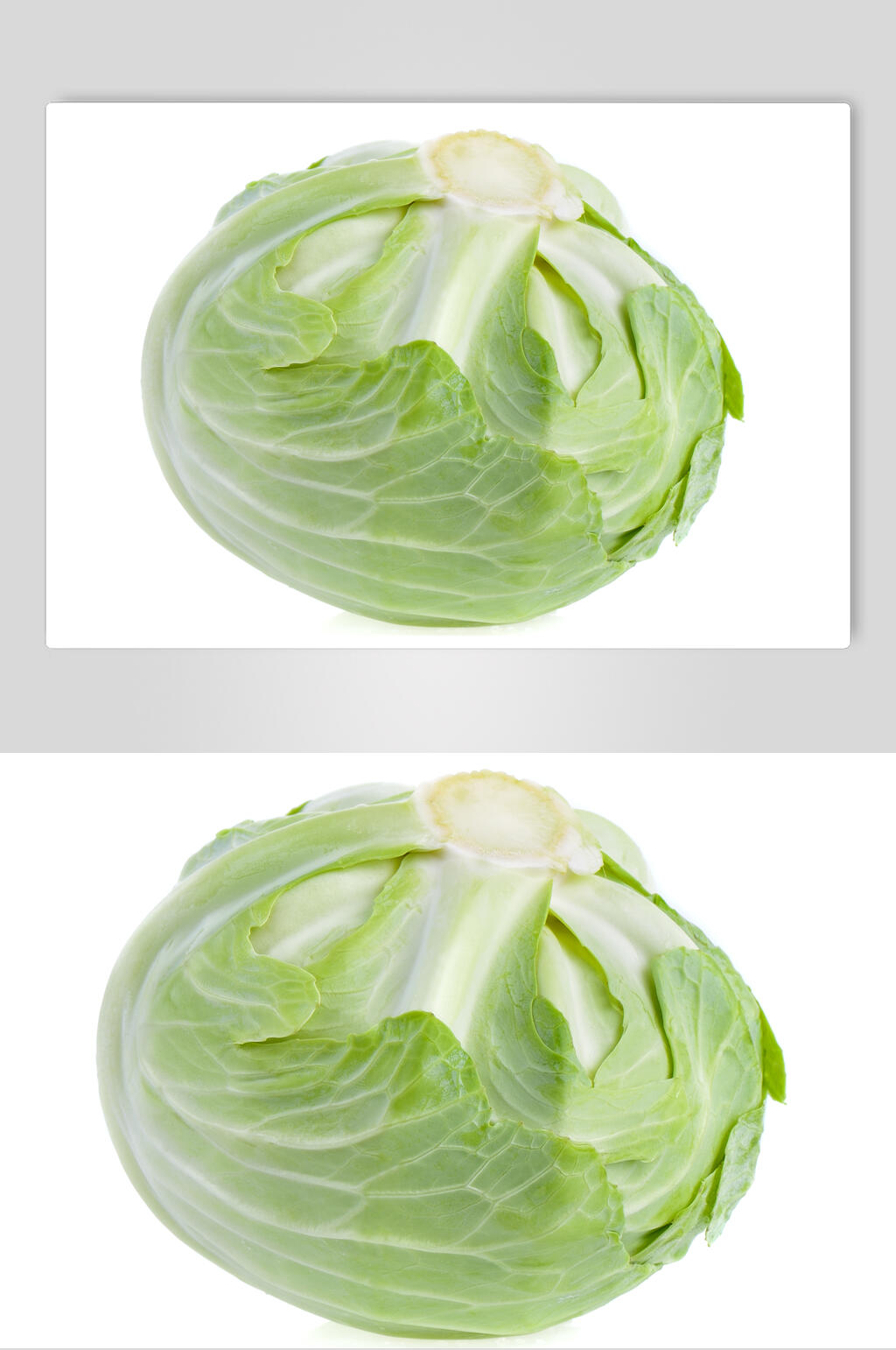 包菜蔬菜特写图片素材