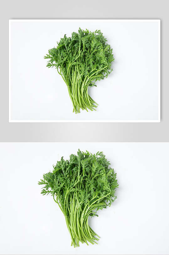 皇帝菜蔬菜高清图片