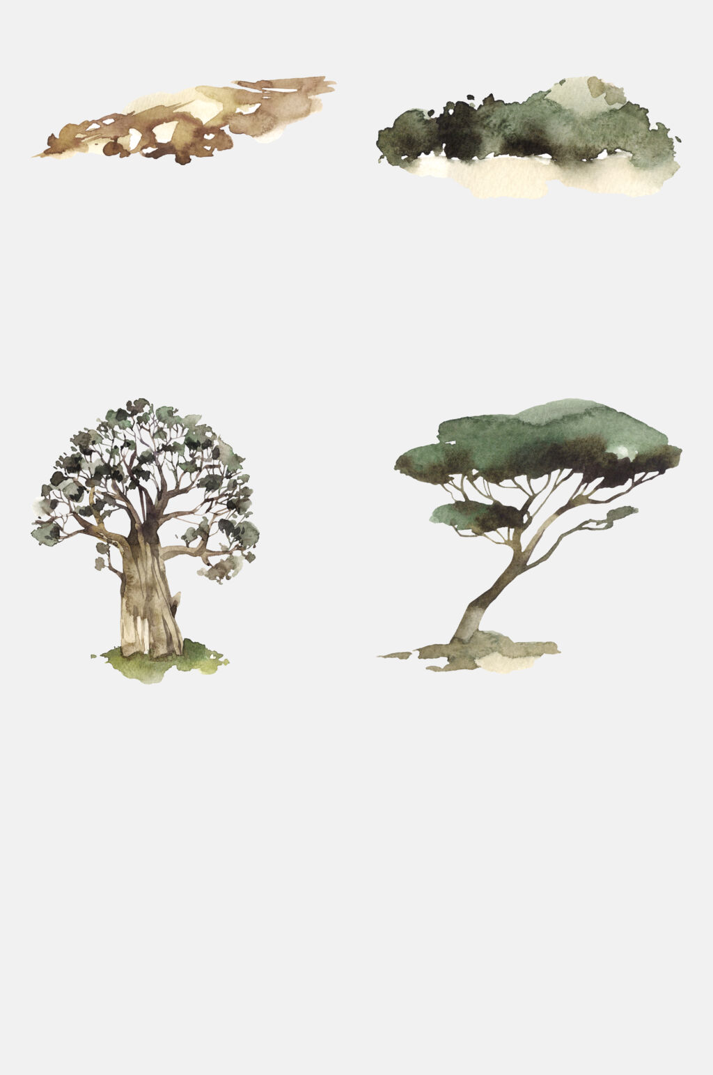 水彩植物元素素材素材