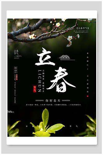 中国风暗绿色立春宣传海报