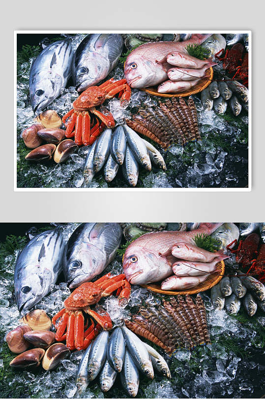 海鱼生鲜美食美味摄影图