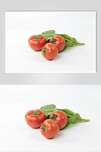 西红柿食品图片