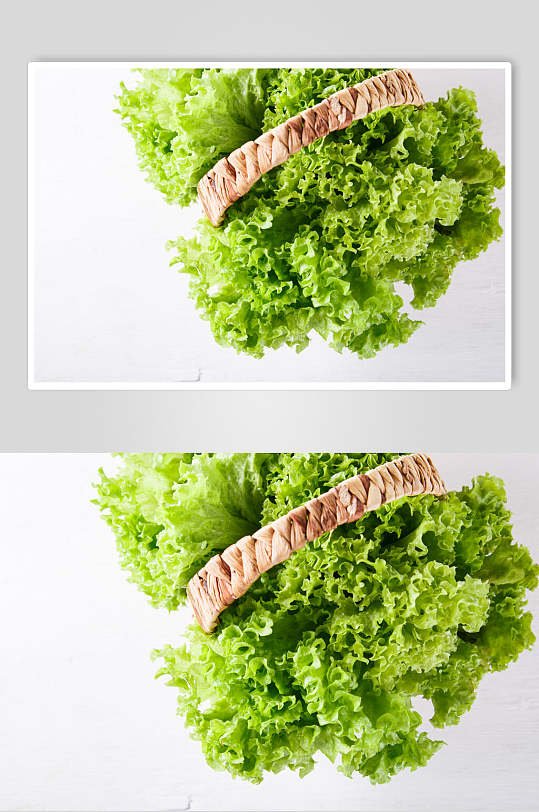 绿色生菜食品美食摄影图片