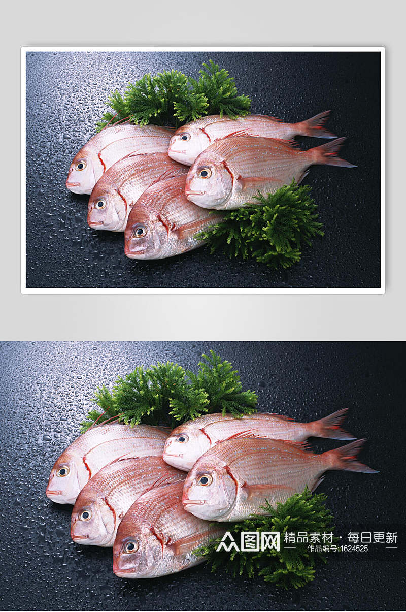 红白清蒸海鱼摄影图素材