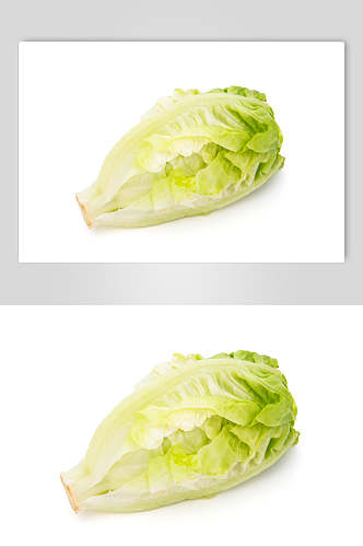 新鲜生菜蔬菜图片