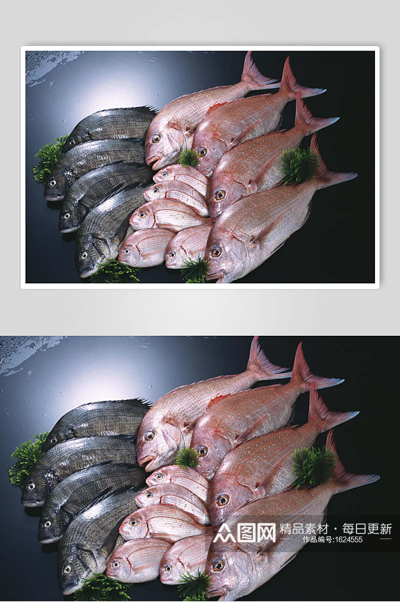 清蒸海鱼摄影图素材