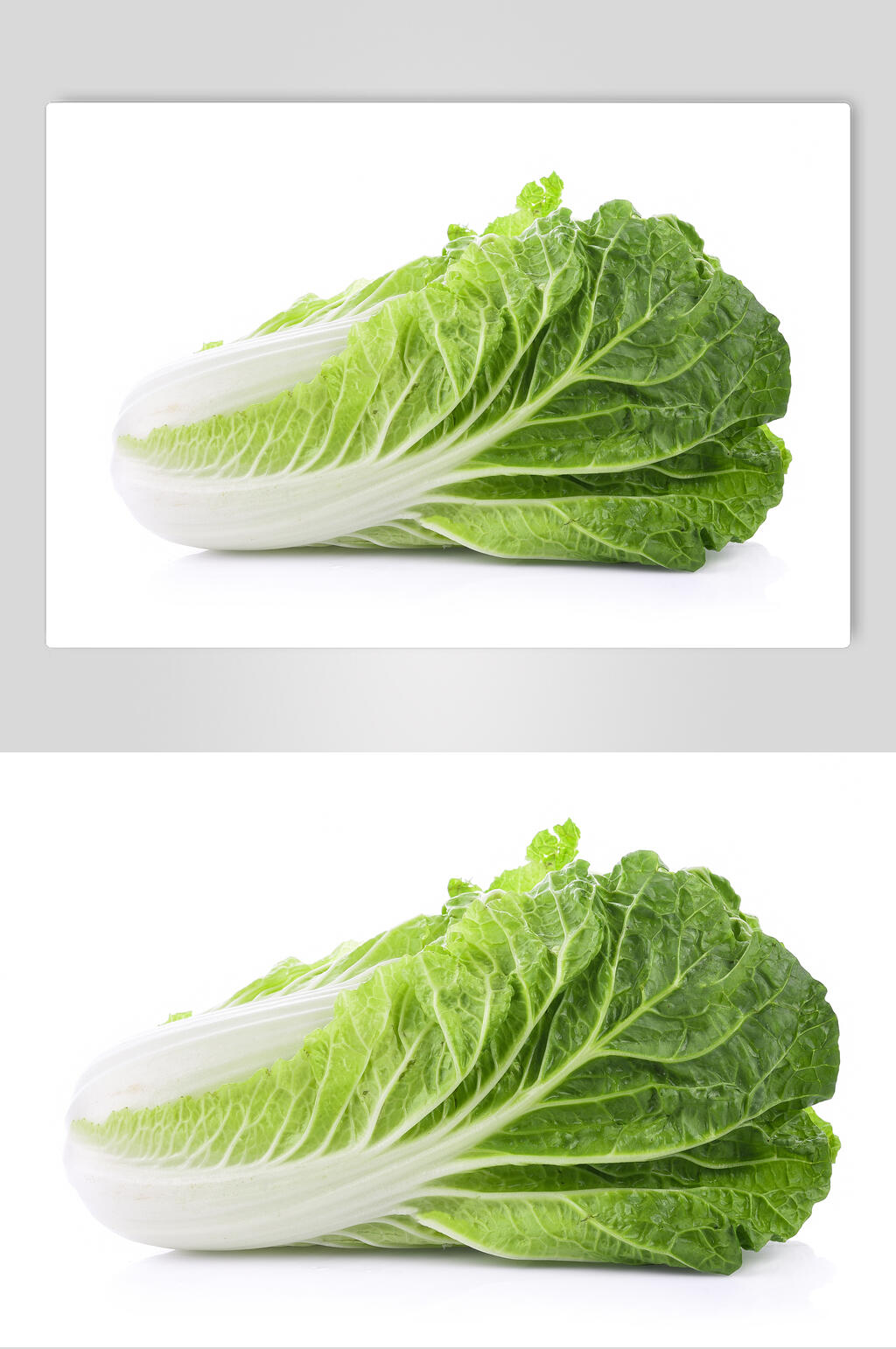 单颗大白菜高清摄影图片素材