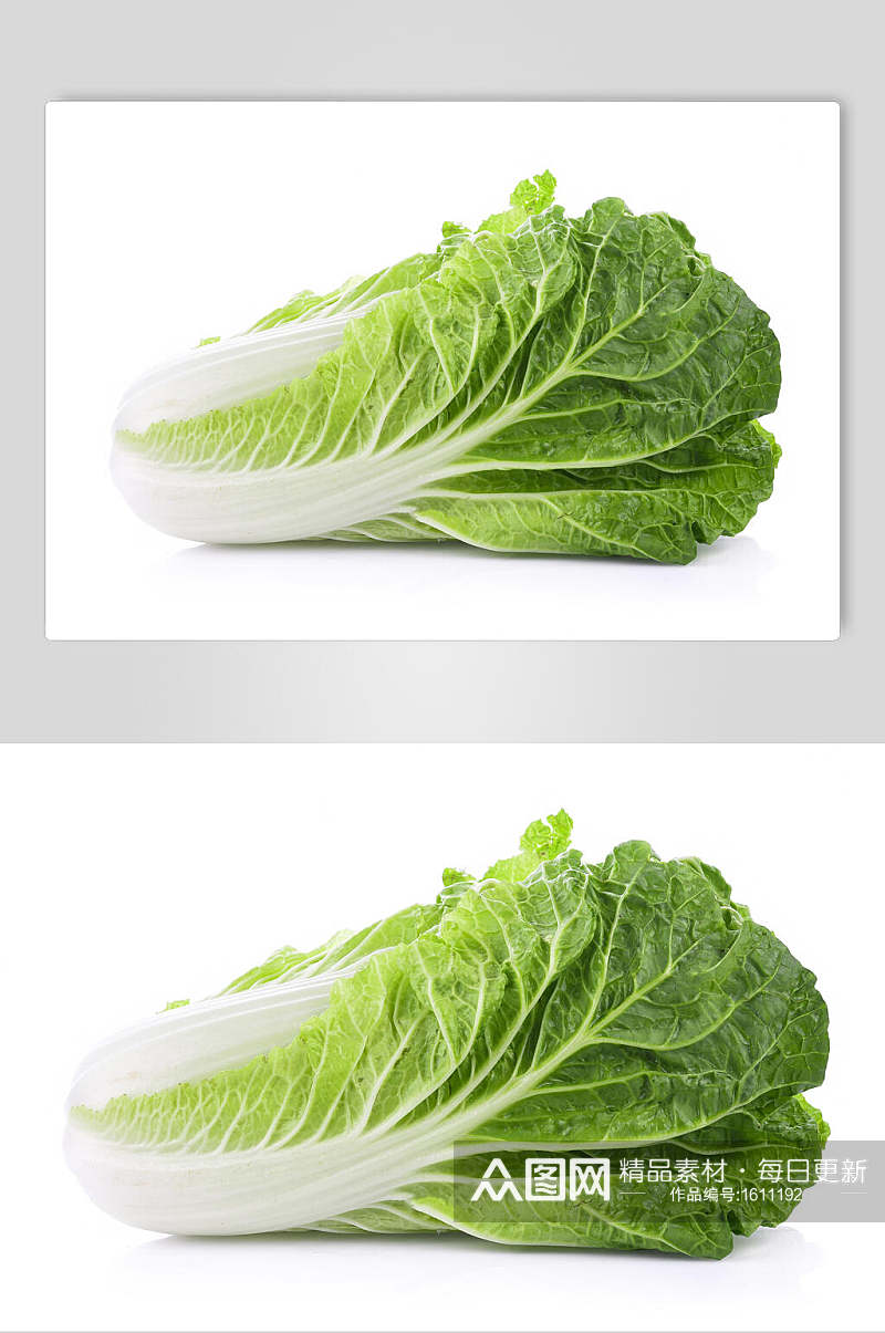 单颗大白菜高清摄影图片素材