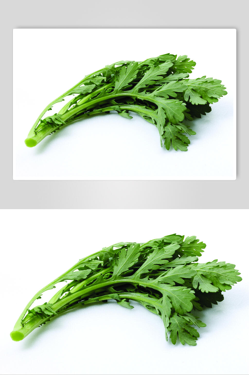 茼蒿食品美食摄影图片素材