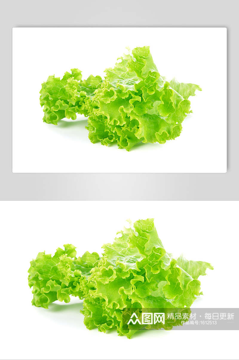 生菜蔬菜美食摄影图片素材