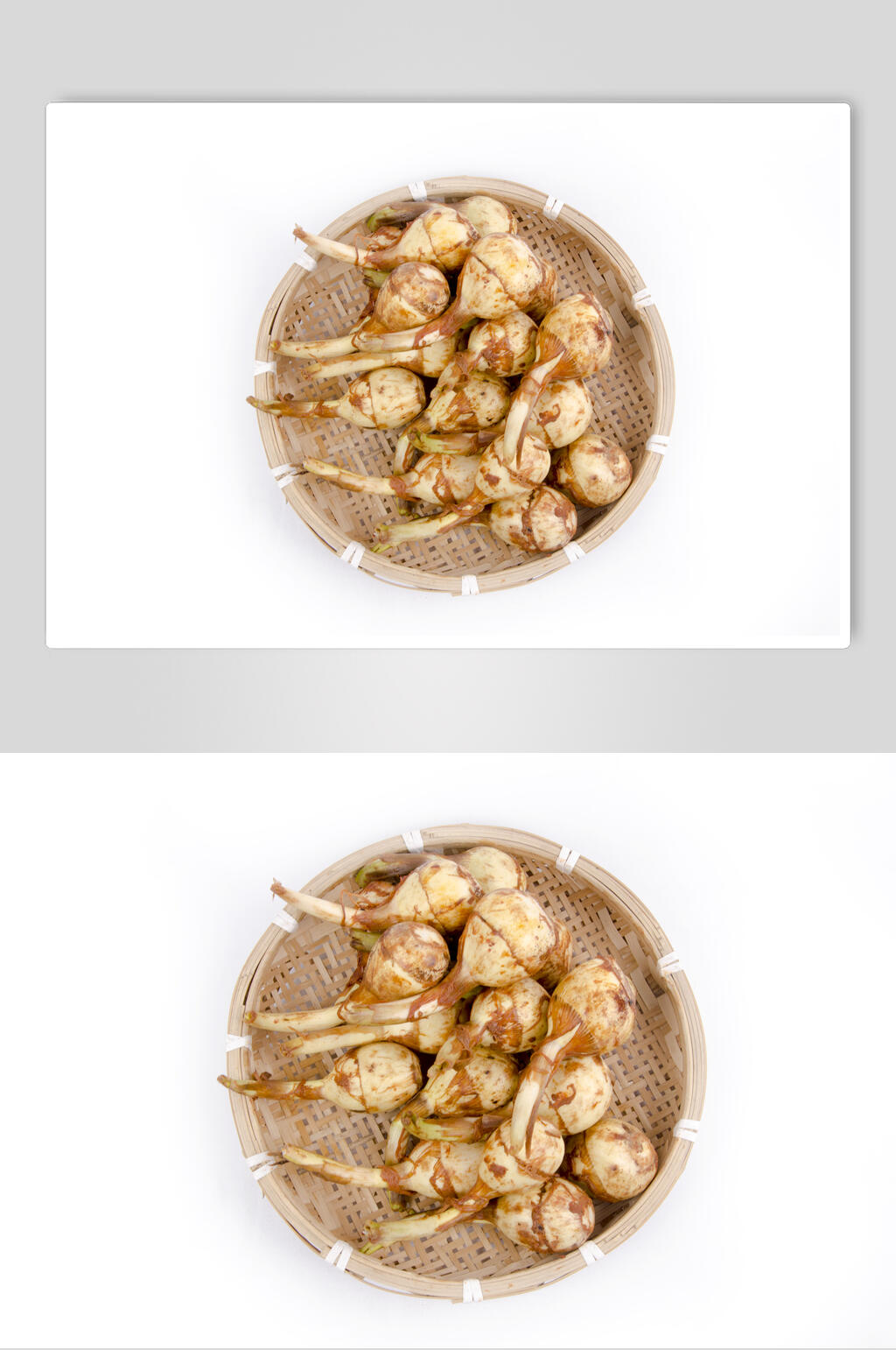茨菇高清图片素材
