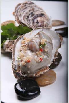 牡蛎海鲜生鲜海鲜摄影图
