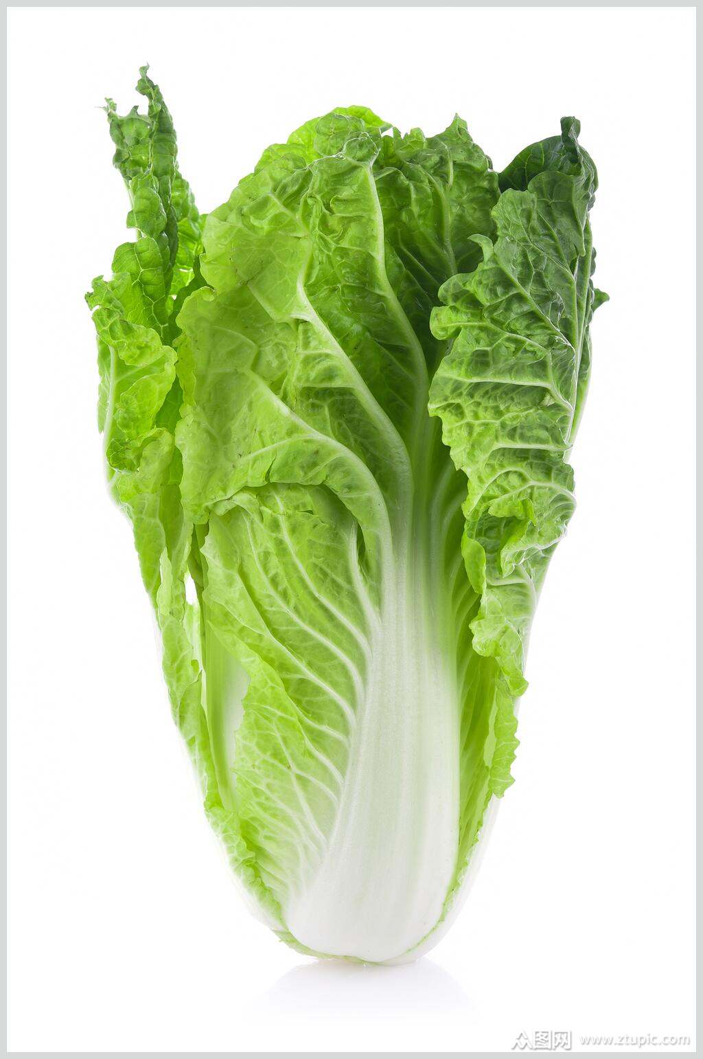 ʴײ˸ͼƬ