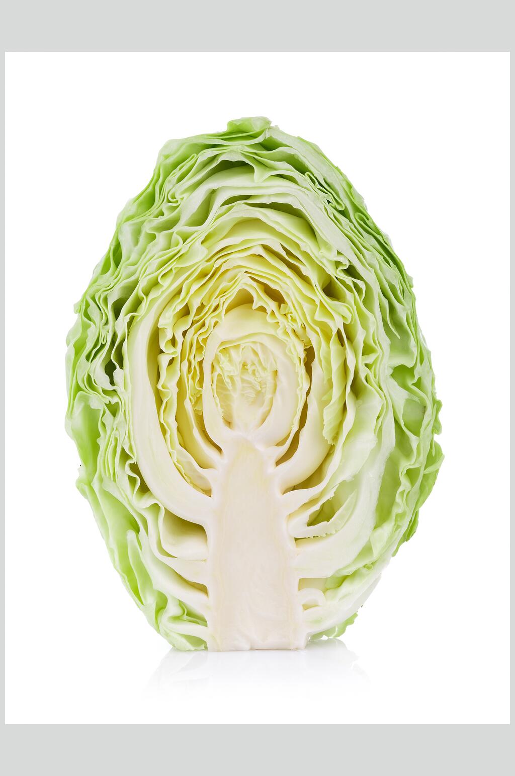 切半包菜高清图片素材